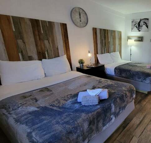 Imagen general del Hotel Sussex Motel. Foto 10