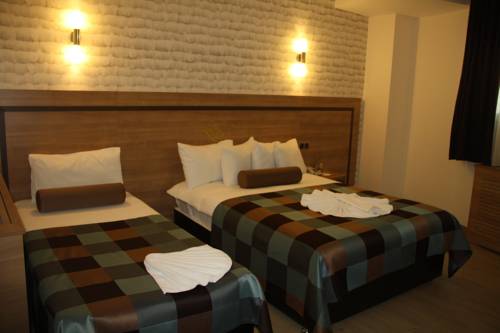 Imagen de la habitación del Hotel Susuzlu Seckin. Foto 6