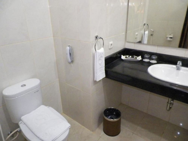 Imagen de la habitación del Hotel Sutan Raja and Convention Centre. Foto 16