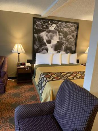 Imagen de la habitación del Hotel Sutton Suites. Foto 6