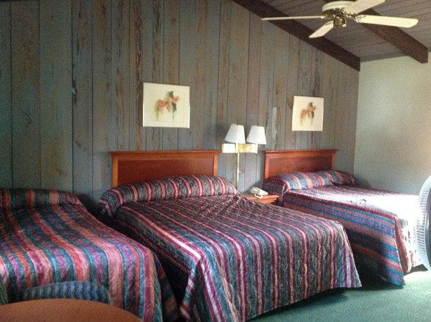Imagen de la habitación del Hotel Suwannee Gables Motel and Marina. Foto 15