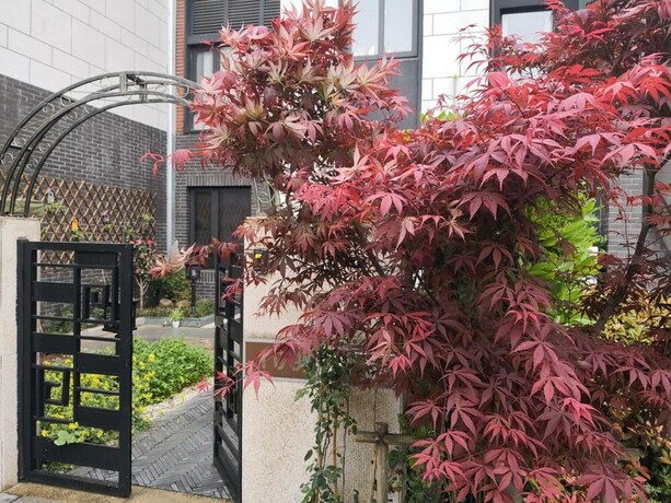 Imagen general del Hotel Suzhou Taihu Meilanju House. Foto 5