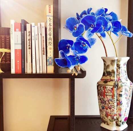 Imagen general del Hotel Suzhou Taihu Meilanju House. Foto 10