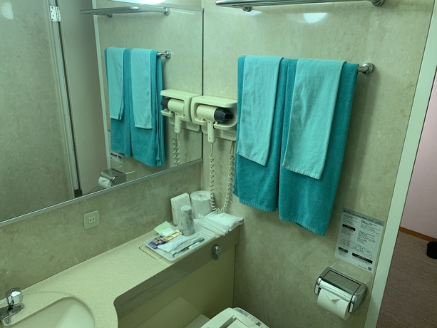 Imagen de la habitación del Hotel Suzuka Storia. Foto 14