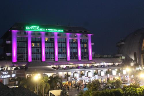 Imagen general del Hotel Svelte Delhi, a member of Radisson Individuals. Foto 1