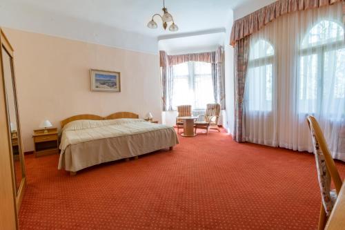 Imagen de la habitación del Hotel Svoboda. Foto 7