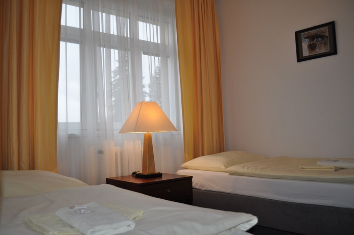 Imagen de la habitación del Hotel Svornost. Foto 7