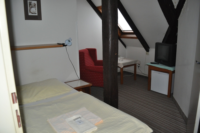 Imagen de la habitación del Hotel Svornost. Foto 11