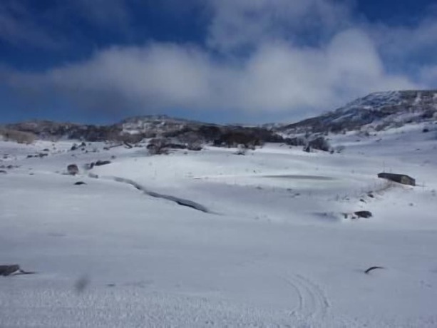 Imagen general del Hotel Swagman Chalet. Foto 6