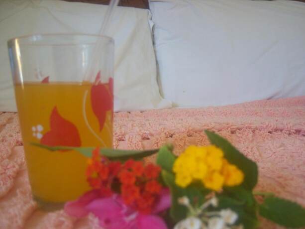 Imagen general del Hotel Swahili Social House. Foto 6