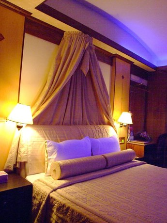 Imagen de la habitación del Hotel Swan Lake, TAOYUAN. Foto 7