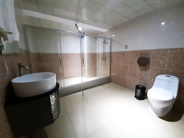 Imagen de la habitación del Hotel Swan, Lima Metropolitana. Foto 14