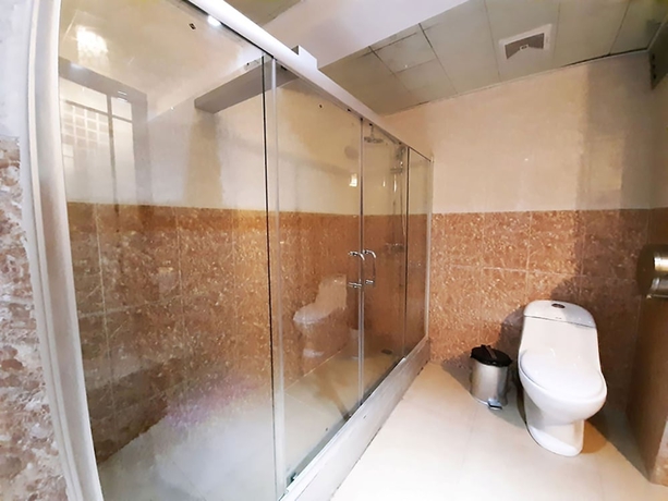 Imagen de la habitación del Hotel Swan, Lima Metropolitana. Foto 15