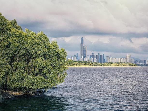 Imagen general del Hotel Swan of Love Shenzhen Nanshan hotel. Foto 8