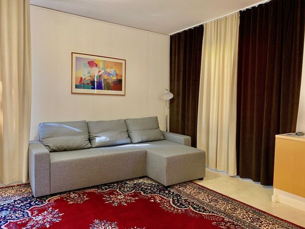 Imagen general del Hotel Swedish Village. Foto 3