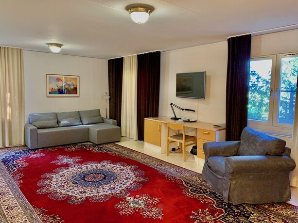 Imagen de la habitación del Hotel Swedish Village. Foto 25