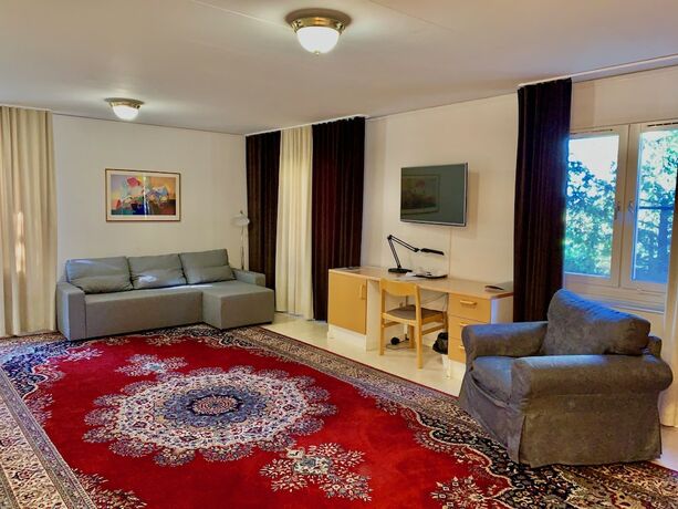 Imagen de la habitación del Hotel Swedish Village. Foto 28