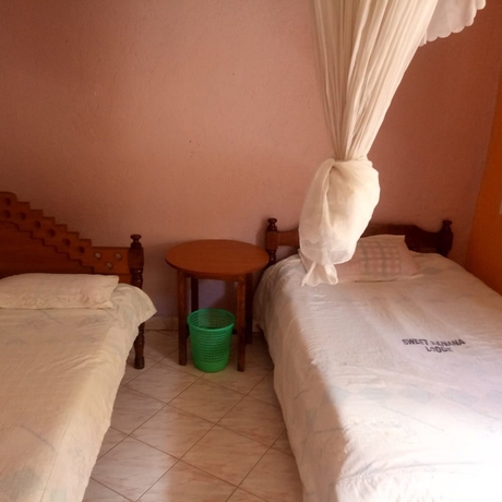 Imagen de la habitación del Hotel Sweet Banana House. Foto 3