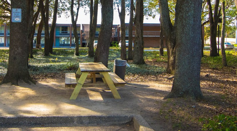 Imagen de los exteriores del Hotel Sweet Dream Inn University Park. Foto 17