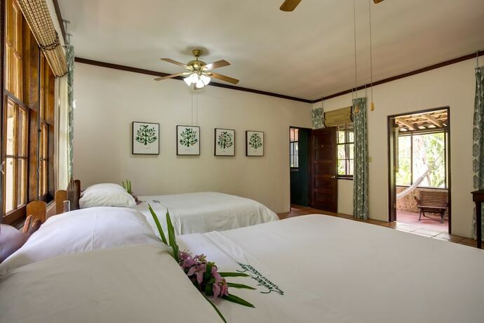 Imagen de la habitación del Hotel Sweet Songs Jungle Lodge, a Muy&rsquo;Ono Resort. Foto 14