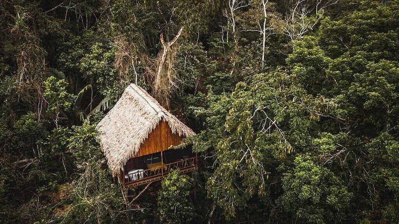 Imagen de la habitación del Hotel Sweet Songs Jungle Lodge, a Muy&rsquo;Ono Resort. Foto 16
