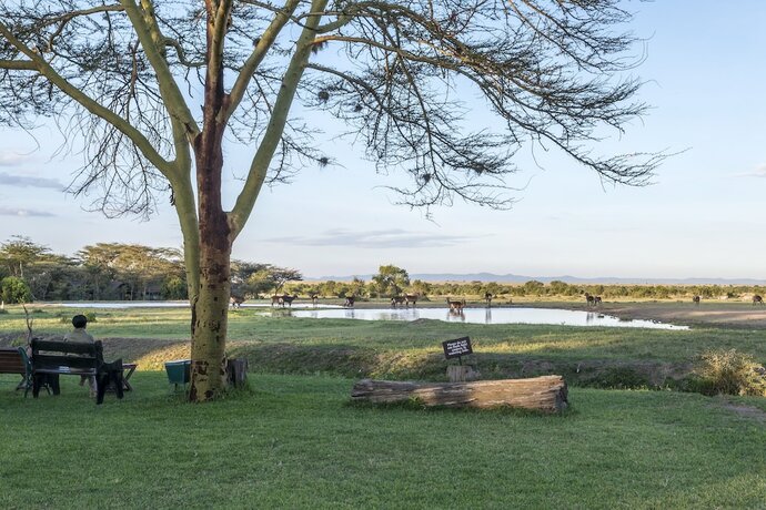 Imagen general del Hotel Sweetwaters Serena Camp. Foto 6