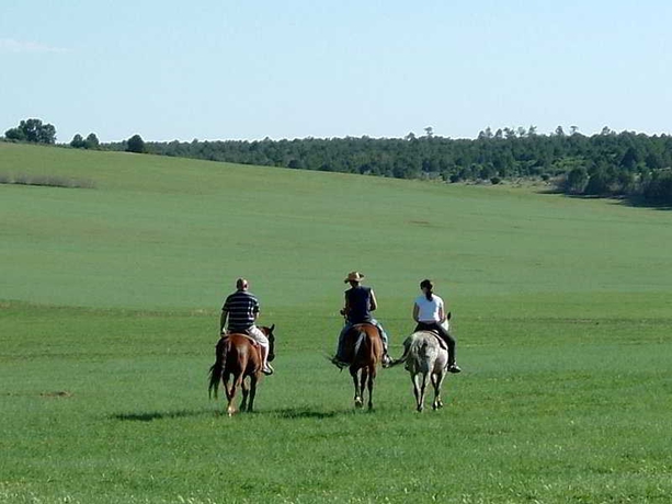 Imagen general del Hotel Swing City. Foto 2