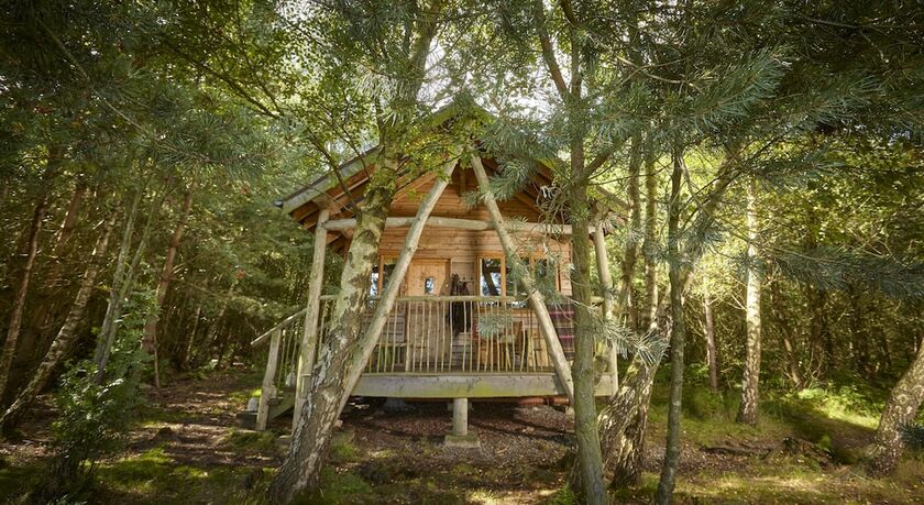 Imagen general del Hotel Swinton Bivouac. Foto 16