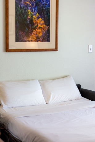 Imagen de la habitación del Hotel Swiss Alps Inn. Foto 10