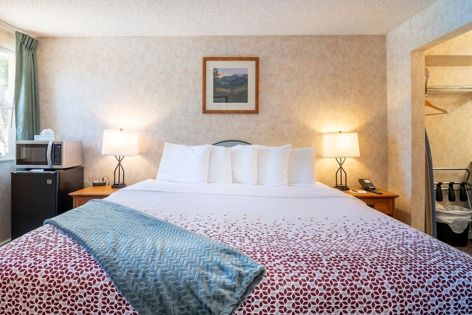 Imagen de la habitación del Hotel Swiss Alps Inn. Foto 14