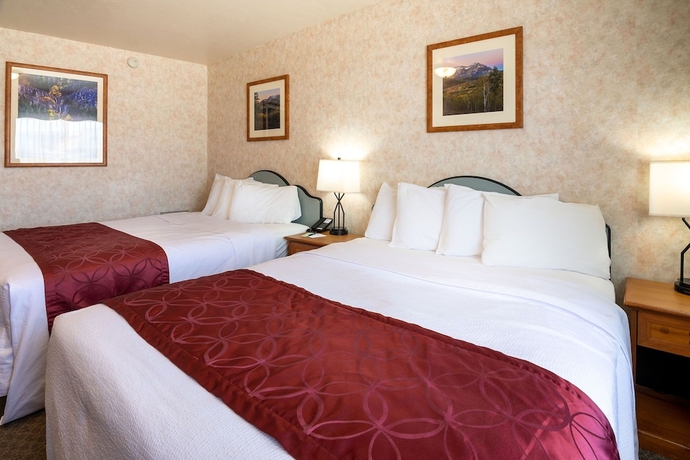 Imagen de la habitación del Hotel Swiss Alps Inn. Foto 16