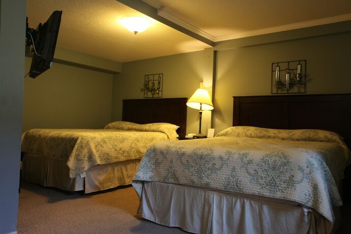 Imagen de la habitación del Hotel Swiss Chalets Motel. Foto 11