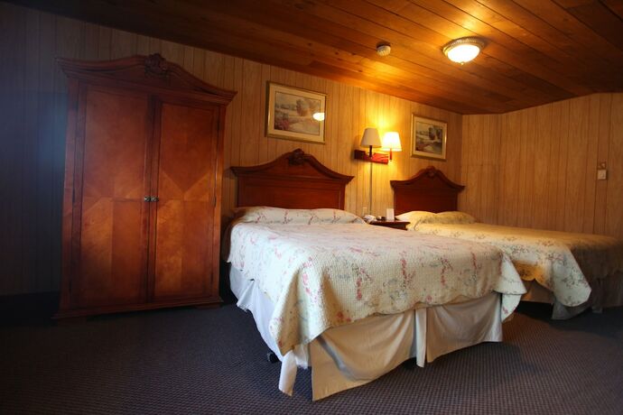 Imagen general del Hotel Swiss Chalets Motel. Foto 7