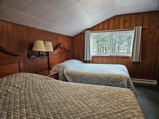 Imagen de la habitación del Hotel Swiss Chalets Motel. Foto 18
