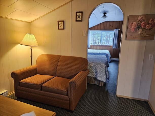 Imagen de la habitación del Hotel Swiss Chalets Motel. Foto 20