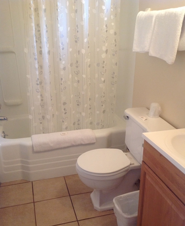 Imagen de la habitación del Hotel Swiss Cottage Inn. Foto 2