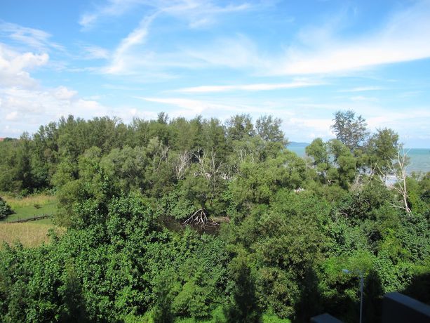 Imagen de la piscina del Hotel Swiss Garden Resort Residences Kuantan. Foto 15