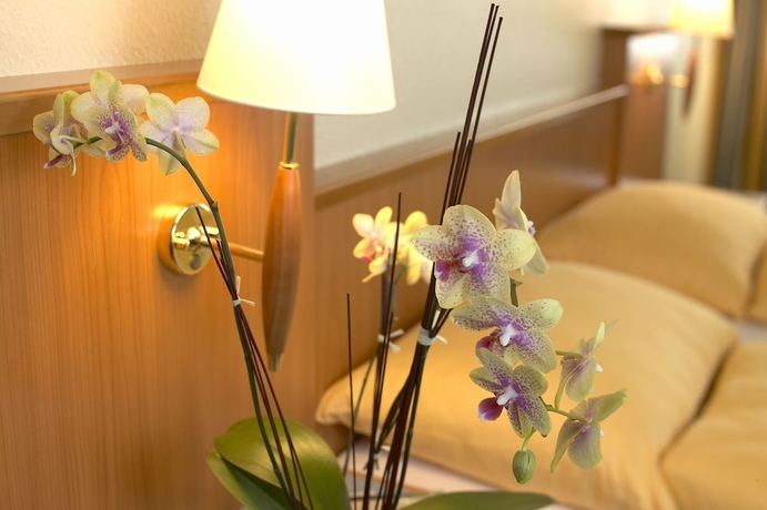 Imagen de la habitación del Hotel Swiss Holiday Park Resort. Foto 16