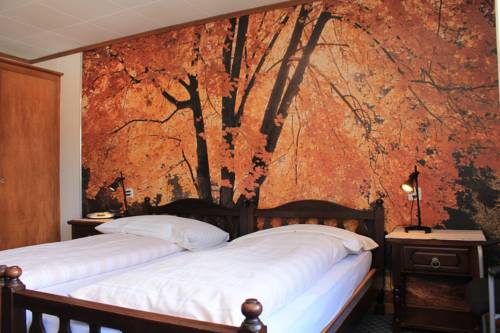 Imagen de la habitación del Hotel Swiss Lodge Bernerhof. Foto 16