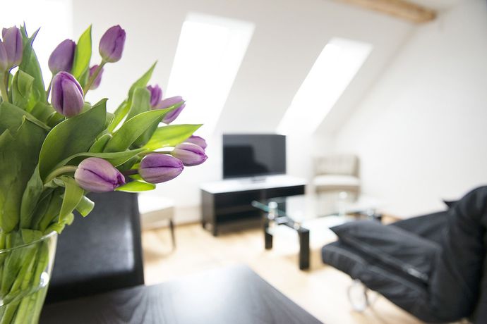 Imagen de la habitación del Hotel Swiss Star Longstreet. Foto 11