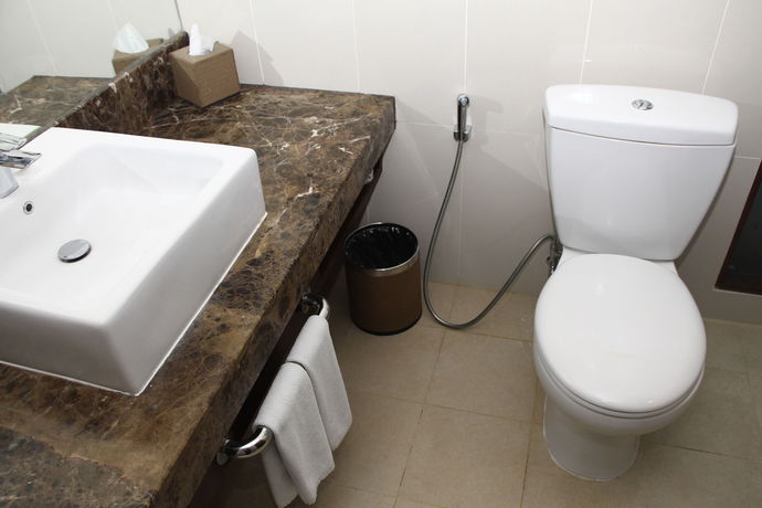 Imagen de la habitación del Hotel Swiss-belhotel Danum Palangkaraya, Palangka Raya. Foto 4