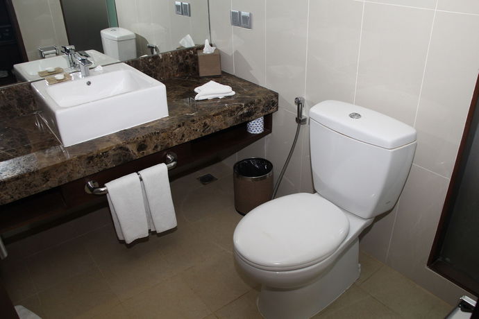 Imagen de la habitación del Hotel Swiss-belhotel Danum Palangkaraya, Palangka Raya. Foto 11