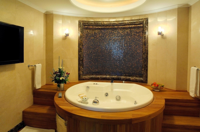 Imagen de la habitación del Hotel Swissotel Ankara. Foto 10