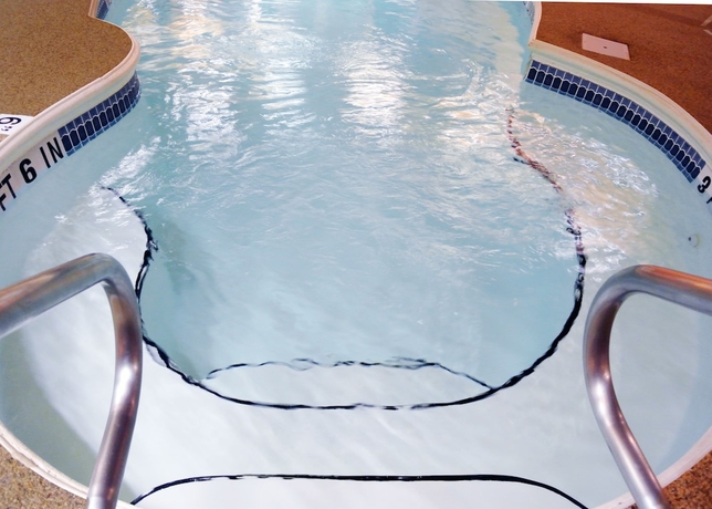 Imagen de la habitación del Hotel Sybaris Pool Suites Indianapolis. Foto 9