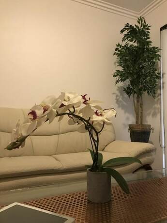 Imagen general del Hotel Sydney Premium Accomodations - Central. Foto 5