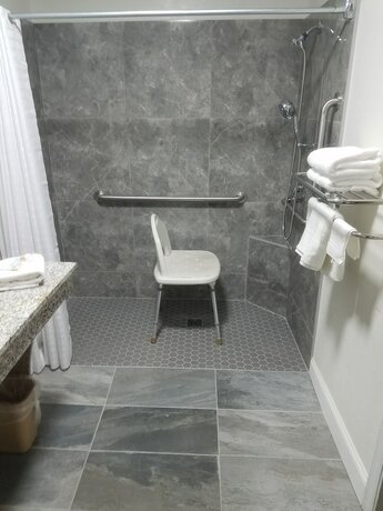 Imagen general del Hotel Sylvania Inn. Foto 15