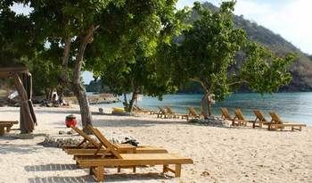 Imagen de la piscina del Hotel Sylvia Resort Komodo Labuan Bajo. Foto 14