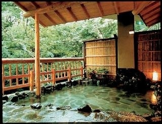 Imagen de los exteriores del Hotel Syosuke No Yado Takinoyu. Foto 9