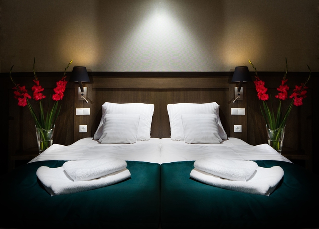 Imagen de la habitación del Hotel Szary Residence. Foto 10