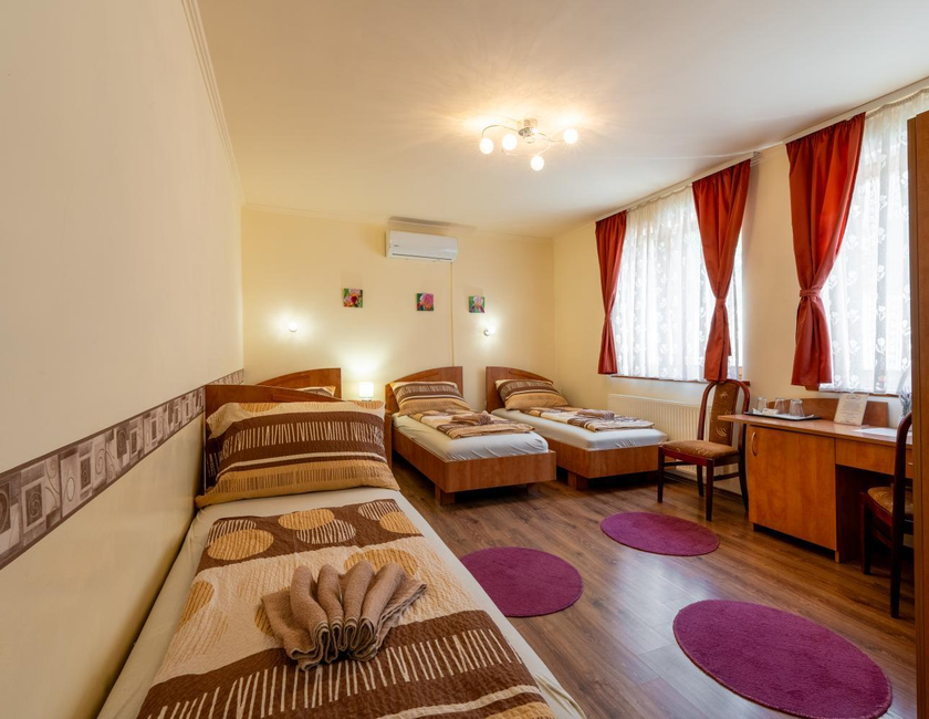 Imagen general del Hotel Szenti Panzio. Foto 20